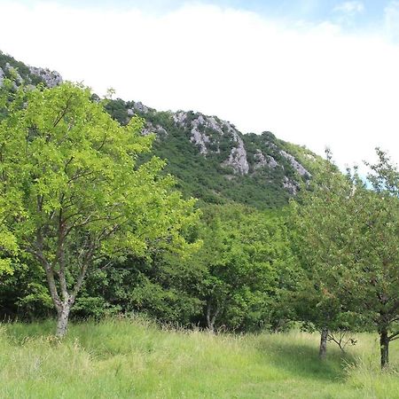 Villa Nona Tamara With Astonishing Sea & Mountains View Bribir (Primorje-Gorski Kotar) Exterior foto