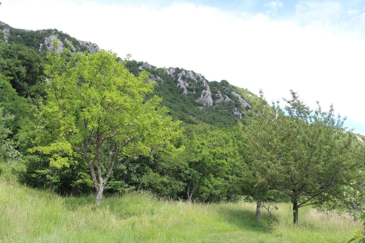 Villa Nona Tamara With Astonishing Sea & Mountains View Bribir (Primorje-Gorski Kotar) Exterior foto